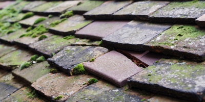 Standlake roof repair costs